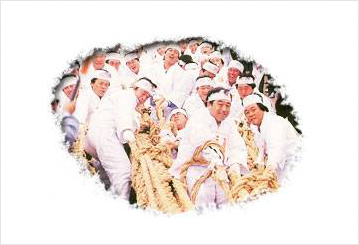 Dongnae juldarigi