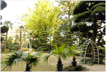 Geumgang botanical garden
