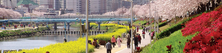 oncheoncheon Festival