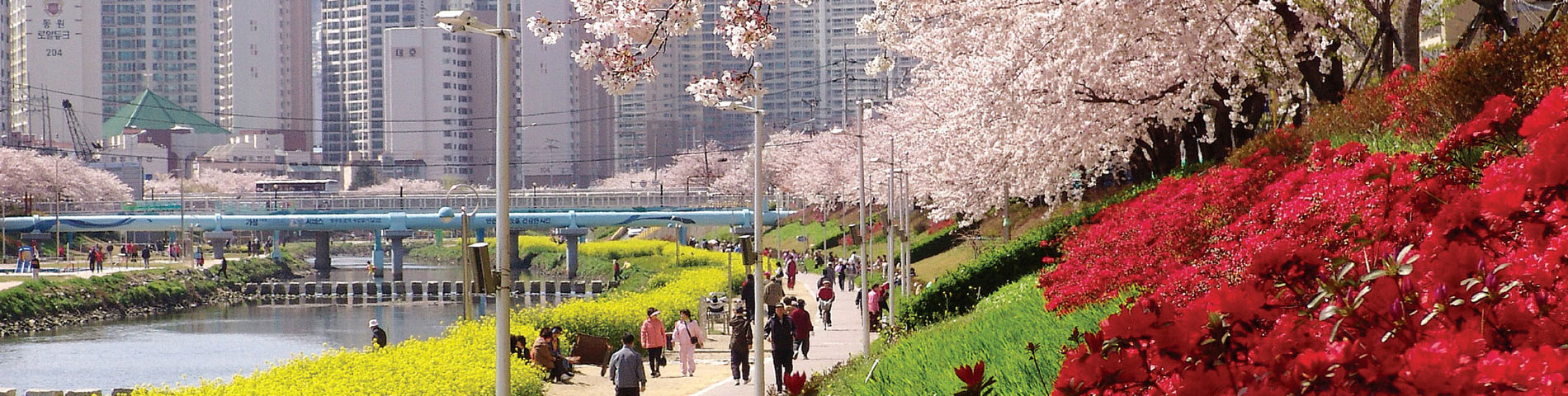 Dongnae Hot Spring