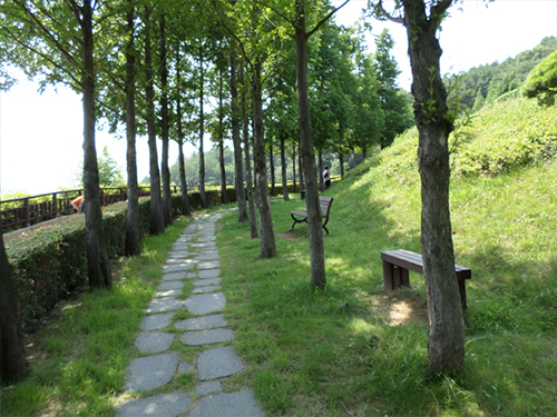 우거진 나무와 의자