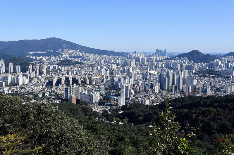 동래구 전경