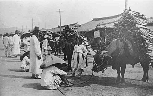 소와 말을 이용 땔감을 파는 상인