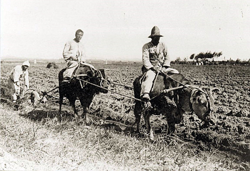 논밭을 일구는 농부