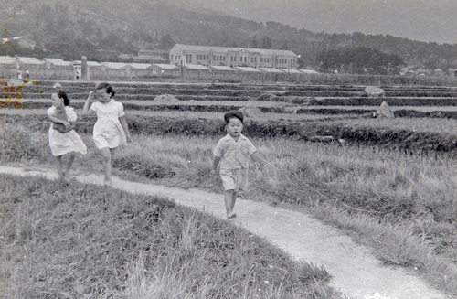 온천2동 삼익아파트 앞거리와 원예고 주변전경(1940년대)