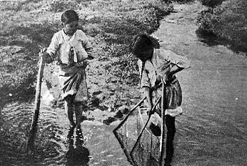 하천에서 물고기 잡는 어린이