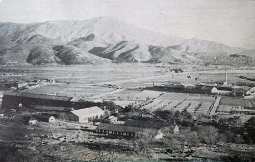 마안산 주변의 명륜1,2동의 옛모습