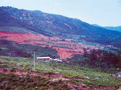 사직2동 전경(현 쌍룡예가아파트 자리)