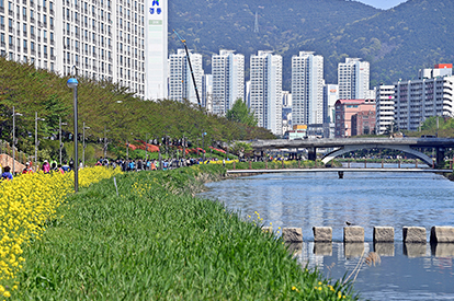 온천천 자연형하천 사진