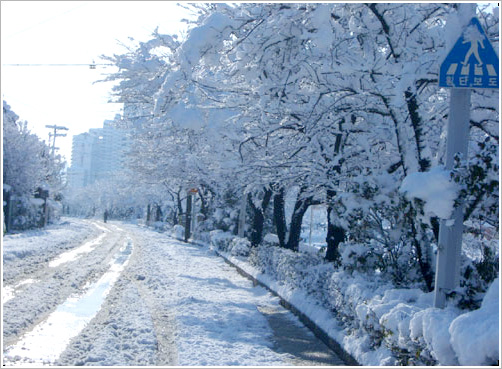 눈이 내린 동래온천천