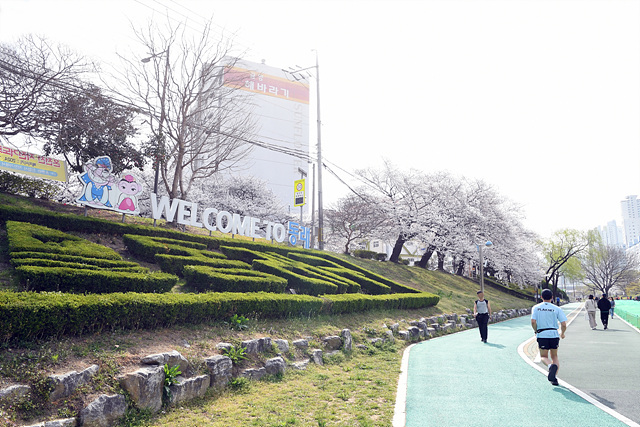 온천천 벚꽃 길 걷다.