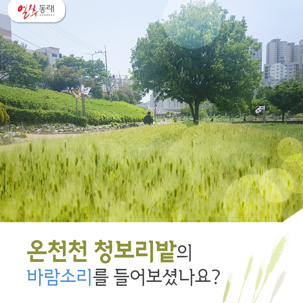 2018년 온천천 열린음악회 개최