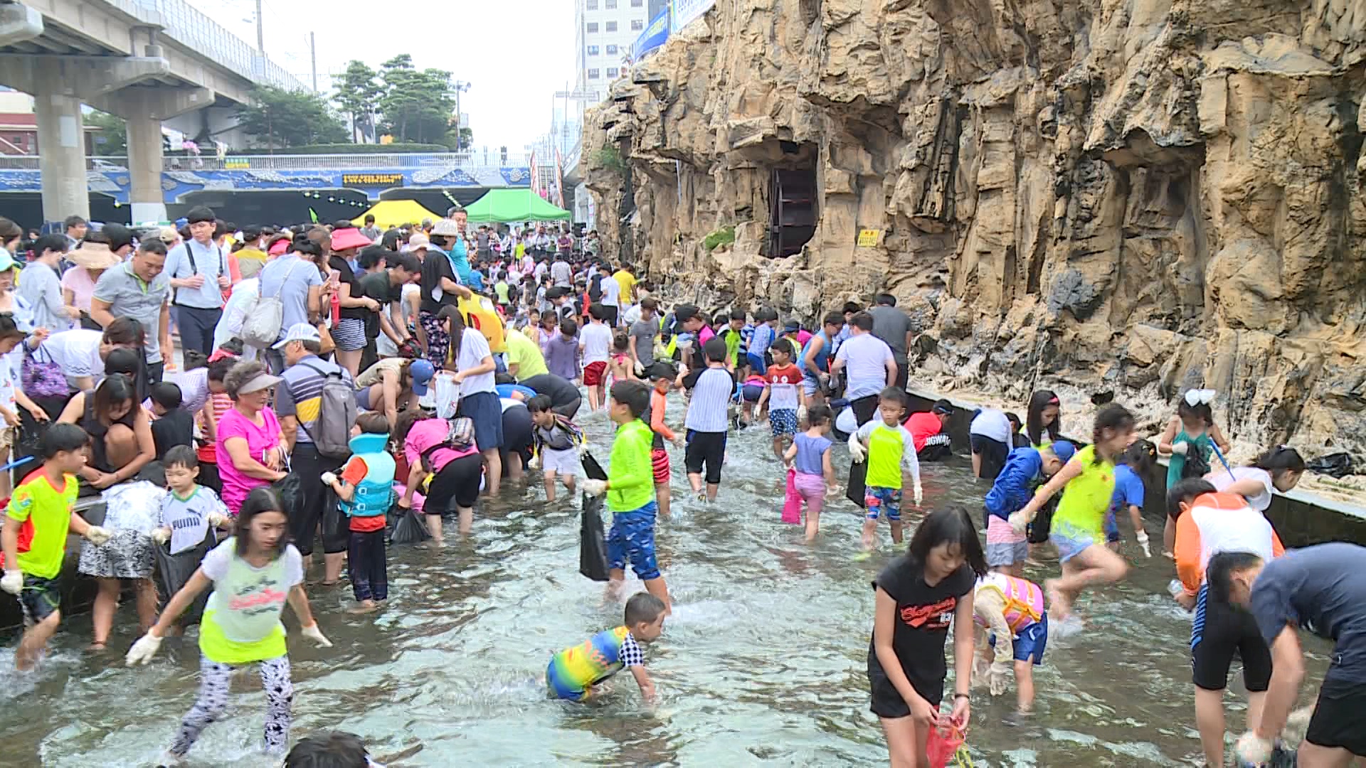  온천천에서 물고기 잡기 신나요.