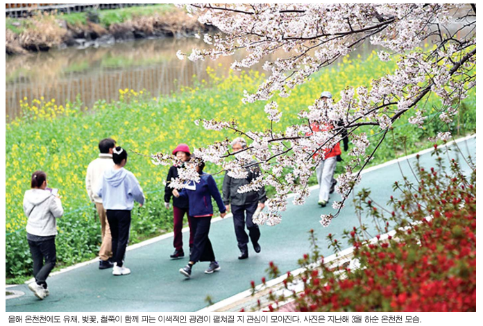 - 뚜기·뚜미의 온천천 탐방 - 봄이...