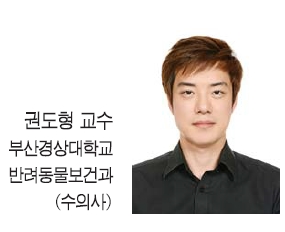반려견과 함께해요