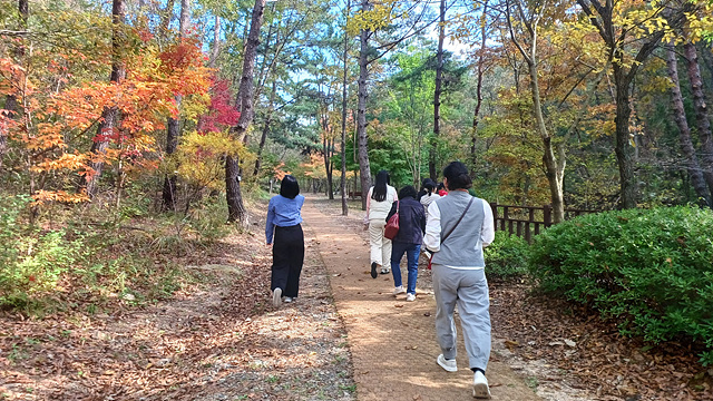  [2025] 치유의 숲 가을여행