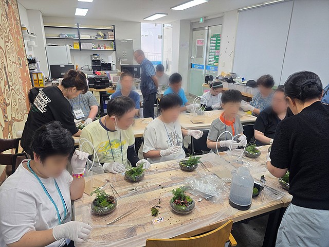 [2025] 미니정원 테라리움