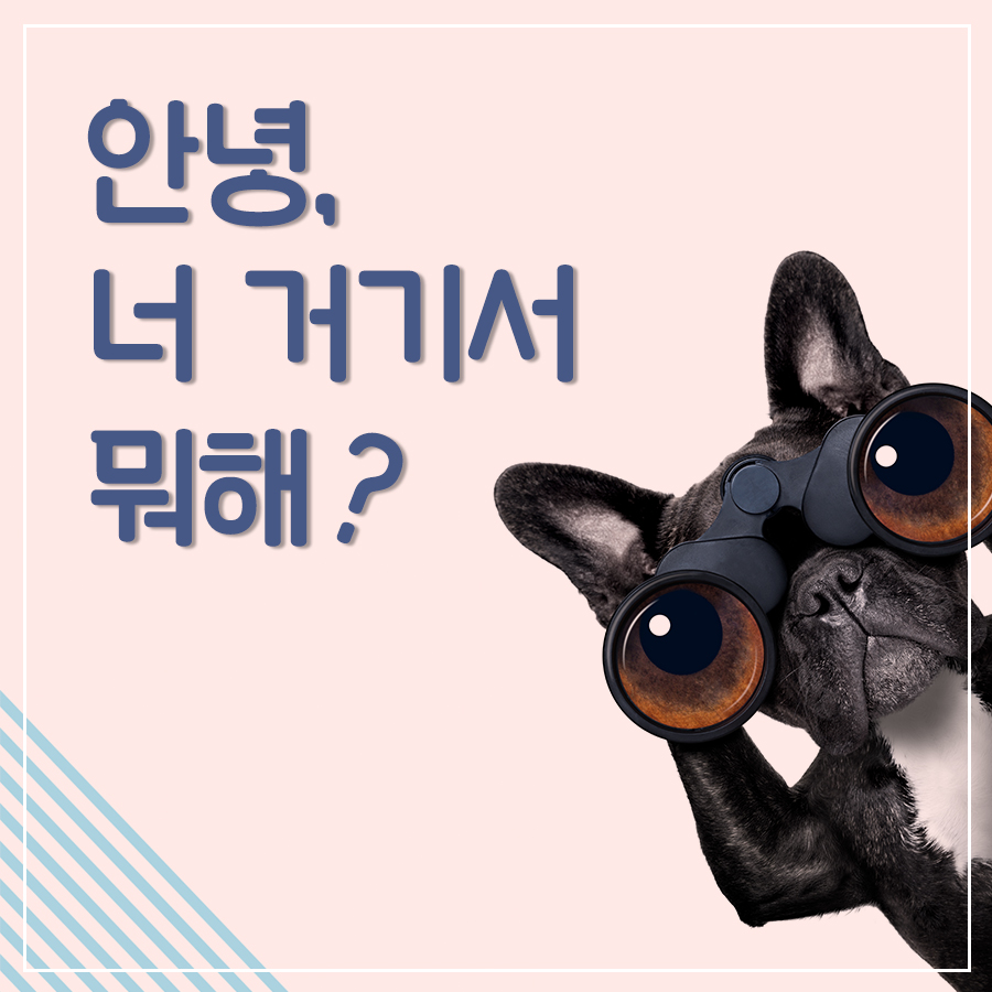 안녕, 너 거기서 뭐해?