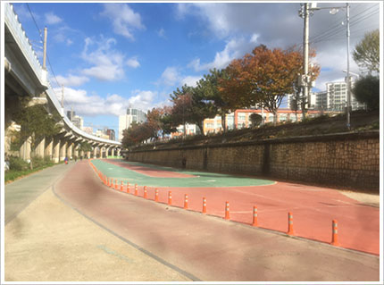 인라인스케이트장