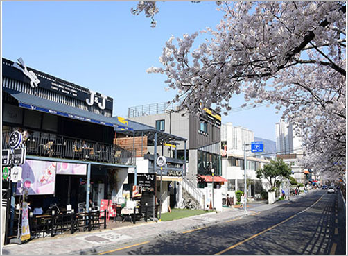 철쭉과 유채꽃이 핀 동래온천천