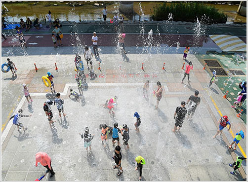 여름 동래온천천