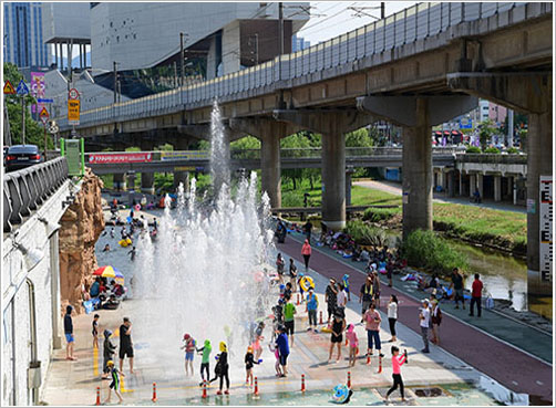 동래온천천의 물고기