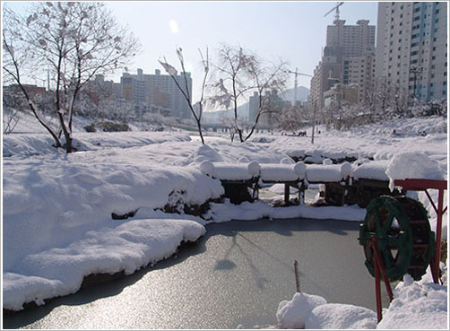 폭설이 내린 동래온천천