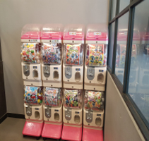 유가네 닭갈비 동래역점 사진